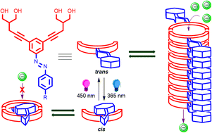 Graphical abstract: Dynamic regulation of ion transport through a bis(1,3-propanediol)-based channel via allosteric azobenzene photoswitching