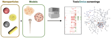 Graphical abstract: Assessing inorganic nanoparticle toxicity through omics approaches