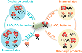 Graphical abstract: Mechanistic understanding of CO2 reduction and evolution reactions in Li–CO2 batteries