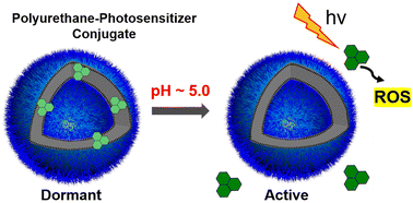 Graphical abstract: pH-Responsive self-assembled polymer-photosensitizer conjugate for activable photodynamic therapy