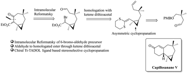 Graphical abstract: Synthetic studies towards naturally occurring sesquiterpene capillosanane V: construction of a fully functionalized cycloheptane core through an intramolecular Reformatsky reaction