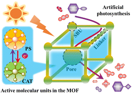 Graphical abstract: Active molecular units in metal organic frameworks for artificial photosynthesis