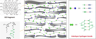 Graphical abstract: Multiple hydrogen bonding in crosslinked graphene oxide films with improved stretchability and toughness