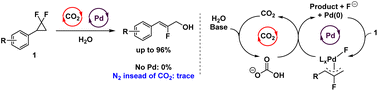 Graphical abstract: CO2 and palladium enabled highly chemoselective hydroxylation of gem-difluorocyclopropanes
