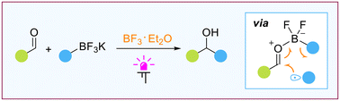 Graphical abstract: Photoinduced radical alkylation of aldehydes with potassium alkyltrifluoroborates