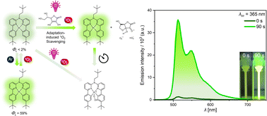 Graphical abstract: Adaptive photoluminescence through a bioinspired antioxidative mechanism