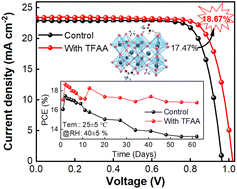 Graphical abstract: Printable mesoscopic perovskite solar cells with performance tuning via trifluoroacetamide