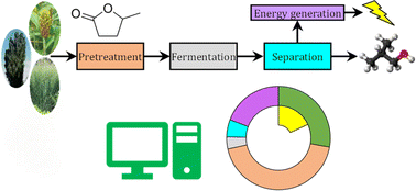 Graphical abstract: On the synthesis of biorefineries for high-yield isobutanol production: from biomass-to-alcohol experiments to system level analysis