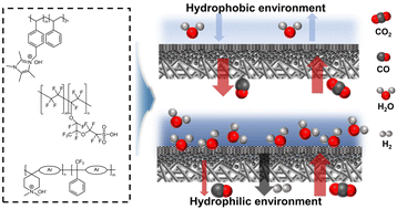 Graphical abstract: Regulating the selectivity through ionomer–catalyst interactions for high-efficiency electrocatalytic CO2 reduction