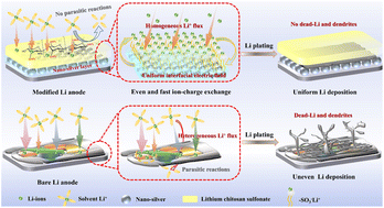 Graphical abstract: Synergistic dual-interface engineering with self-organizing Li-ion/electric fields for enhanced lithium metal anode stability