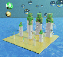 Graphical abstract: Size-dependent electrocatalytic hydrogen evolution activity of arrays of edge-like defects in MoS2 crystals patterned by focused ion beam