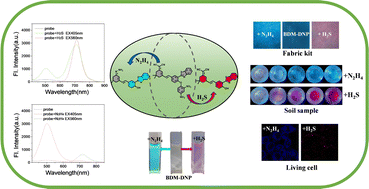 Graphical abstract: A dual-color ESIPT-based probe for simultaneous detection of hydrogen sulfide and hydrazine