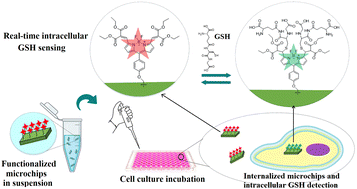 Graphical abstract: Silicon oxide microchips functionalized with fluorescent probes for quantitative real-time glutathione sensing in living cells