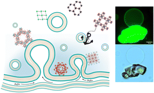 Graphical abstract: Metal–organic frameworks as anchors for giant unilamellar vesicle immobilization