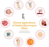 Graphical abstract: Optimizing processes and unveiling the therapeutic potential of electrospun gelatin nanofibers for biomedical applications
