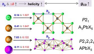 Graphical abstract: The role of halogens in structural diversity and chirality enhancement of 1D chiral hybrid metal halides
