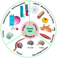 Graphical abstract: Chiral quantum dots for bioapplications