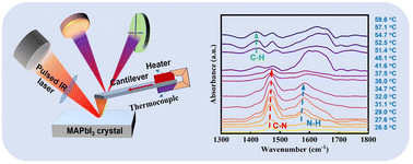 Graphical abstract: Nanoscale stability behavior of the CH3NH3PbI3 perovskite via scanning thermal chemical microscopy