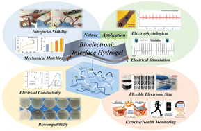 Graphical abstract: Hydrogel-based soft bioelectronic interfaces and their applications