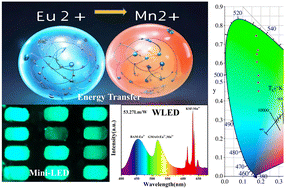 Graphical abstract: Efficient narrow-band green phosphors for mini-LED displays using dual strategies of high concentration quenching and energy transfer