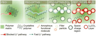 Graphical abstract: Ion-conductive vs. non-ion-conductive ceramic fillers in silane-linked polyethylene oxide-based composite polymer electrolytes with high room-temperature ionic conductivity