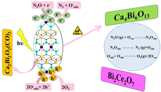 Graphical abstract: Exploration of bismuth-based materials for photocatalytic decomposition of N2O