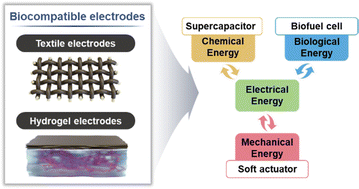 Graphical abstract: Unlocking high-efficiency energy storage and conversion with biocompatible electrodes: the key role of interfacial interaction assembly and structural design