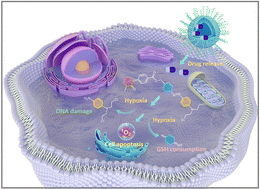 Graphical abstract: Hypoxia-triggered singlet oxygen and nitrogen mustard release towards a synergistic therapeutic action