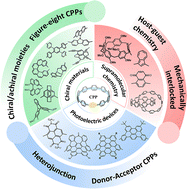Graphical abstract: Recent advances in functionalized cycloparaphenylenes: from molecular design to applications