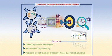 Graphical abstract: Synthesis of ferrocenyl/phenyl isothiazole-3-thione and isoselenazole-3-selenone as new heterocycles