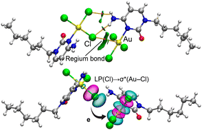 Graphical abstract: Synthesis, X-ray characterization, and DFT calculations of gold–nucleobase complexes: on the importance of regium bonds and anion–π interactions