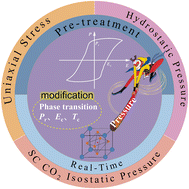 Graphical abstract: A review of the abnormal ferroelectric phenomenon in ferro-nanomaterials under ultrahigh-pressure: progress and mechanisms