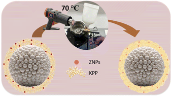 Graphical abstract: Industry-friendly urea coating by interlocking waste proteins and nanoparticles via a glass transition approach