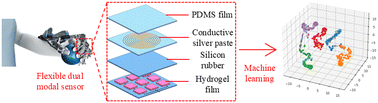 Graphical abstract: Machine learning-assisted flexible dual modal sensor for multi-sensing detection and target object recognition in the grasping process