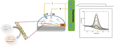 Graphical abstract: Advanced 2D MoS2–chitosan nanocomposites for ultra-sensitive and selective dopamine detection
