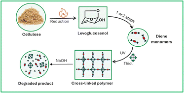 Graphical abstract: Expanding the chemical functionality of levoglucosenone-based monomers for degradable thiol–ene thermosets with high bio-derived content