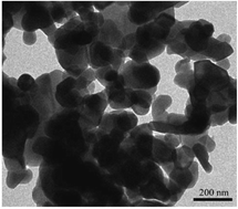 Graphical abstract: Exploring the role of strontium-based nanoparticles in modulating bone regeneration and antimicrobial resistance: a public health perspective
