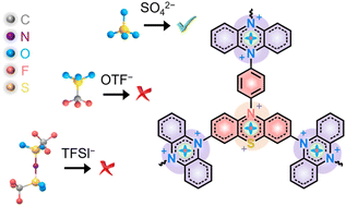 Graphical abstract: Unlocking the potential of a multi-electron p-type polyheterocycle cathode: when it meets a small-size and high-charge anion