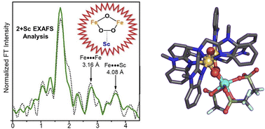 Graphical abstract: Mimicking sMMOH chemistry: trapping the Sc3+-bound nonheme FeIII–O–O–FeIII adduct prior to its conversion into an FeIV2(μ-O)2 core