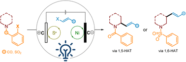 Graphical abstract: Remote α- and β-C(sp3)–H alkenylation of amines via visible-light supported paired electrolysis