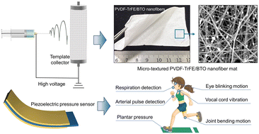 Graphical abstract: Enhancing wearable piezoelectric sensors via micro-textured P(VDF–TrFE)/BaTiO3 nanofiber mats for physiological monitoring