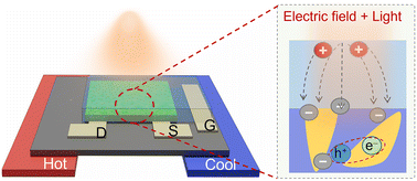 Graphical abstract: Electrochemically modulated photodoping in polymeric semiconductors for efficient photo-thermoelectric conversion