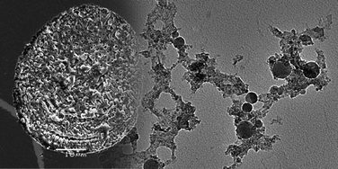 Graphical abstract: In situ characterization of infrared femtosecond laser ablation in geological samples. Part A: the laser induced damage