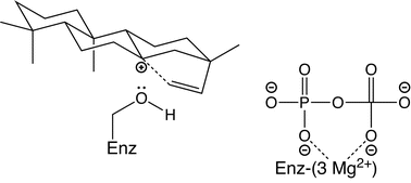 Graphical abstract: Electrostatic effects on (di)terpene synthase product outcome