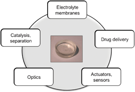 Graphical abstract: Ionogels, ionic liquid based hybrid materials