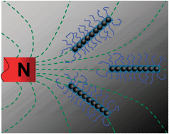 Graphical abstract: One-dimensional magnetic inorganic–organic hybrid nanomaterials