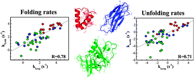 Graphical abstract: Integrated prediction of protein folding and unfolding rates from only size and structural class