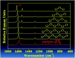 Graphical abstract: α-Oligofurans show a sizeable extent of π-conjugation as probed by Raman spectroscopy