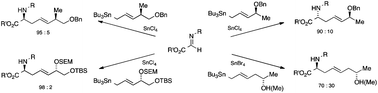 Graphical abstract: Remote stereocontrol in reactions between 4- and 5-alkoxyalk-2-enylstannanes and 1-alkoxycarbonylimines and analogues: stereoselective approaches to novel α-amino acids