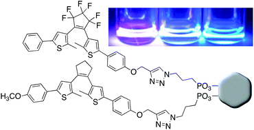 Graphical abstract: Multimodal fluorescence modulation using molecular photoswitches and upconverting nanoparticles